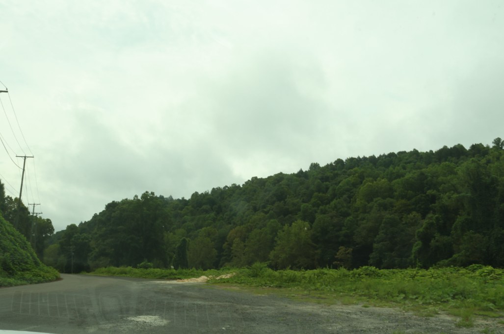 Cleared land and wooded hillsides in Dickenson County.